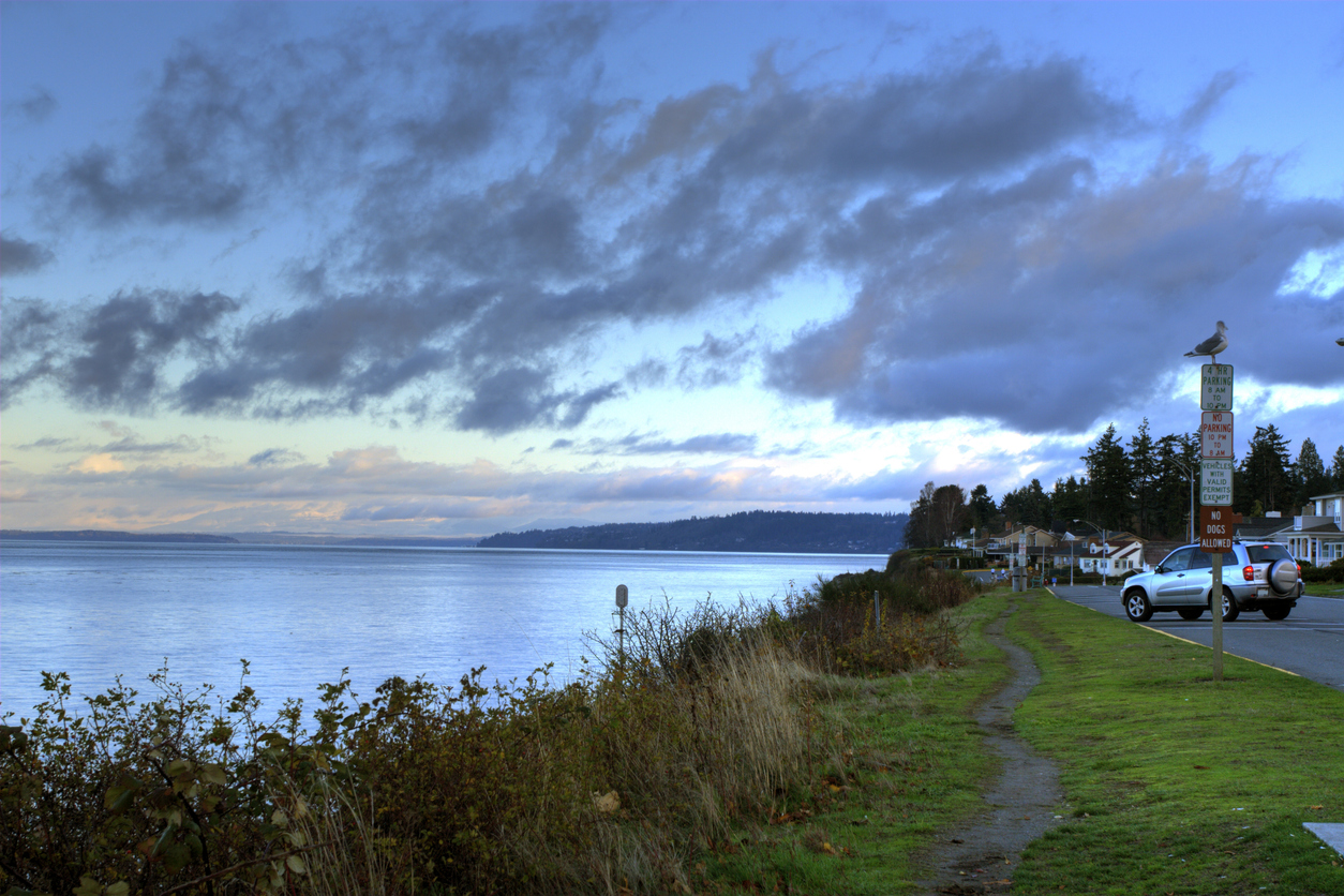 Panoramic Image of Edmonds, WA